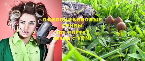 PSILOCYBIN Дмитров