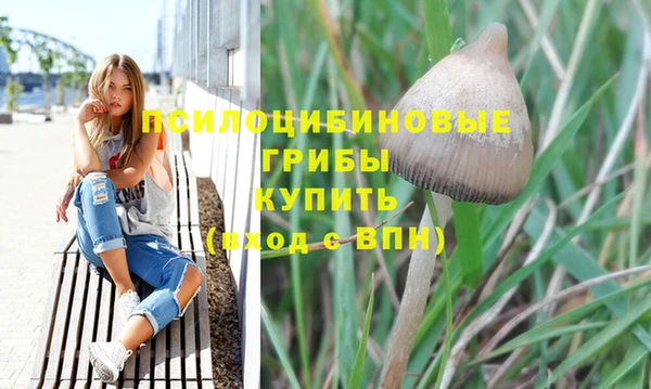 круглые Дмитриев