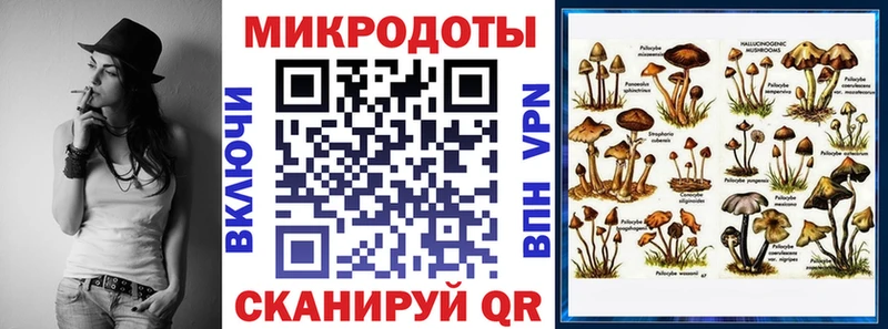Галлюциногенные грибы MAGIC MUSHROOMS  Купить закладки  Рязань 
